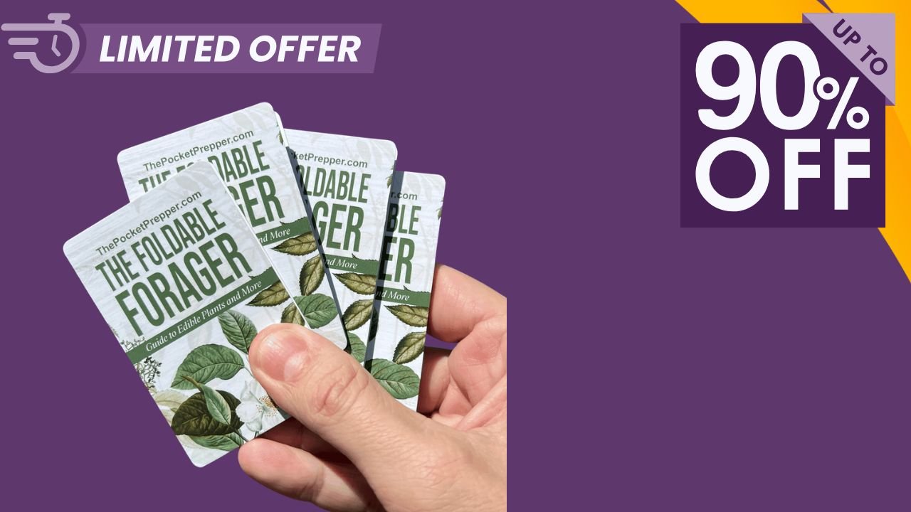 The Foldable Forager Review