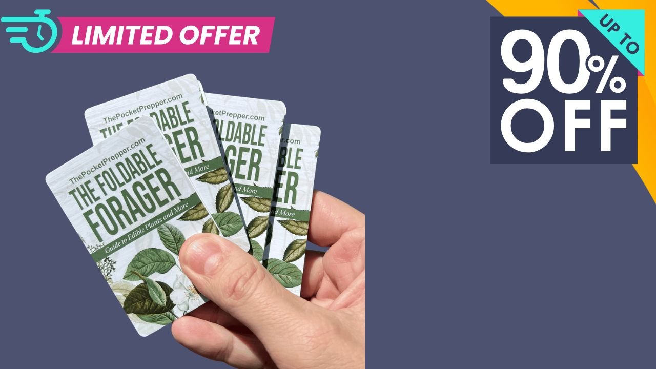 The Foldable Forager Reviews